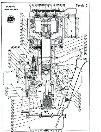 coupe transversale