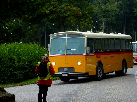 Saurer 3 DUK