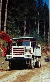foret